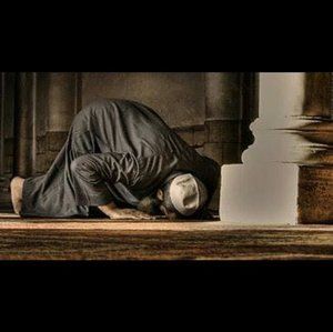 Meet your Posher, Preston